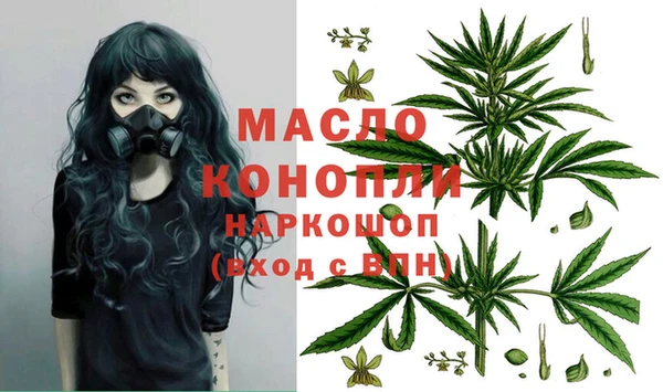 дживик Козельск