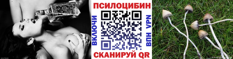 Псилоцибиновые грибы Psilocybe Курильск