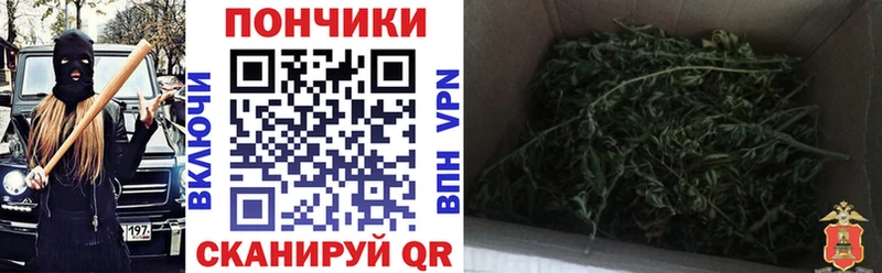 Каннабис сатива  Курильск 